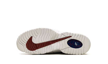Air Max Penny Le (Gs) 315519 400