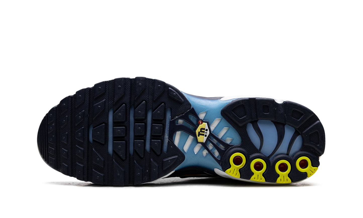 Air Max Plus CT1094 100