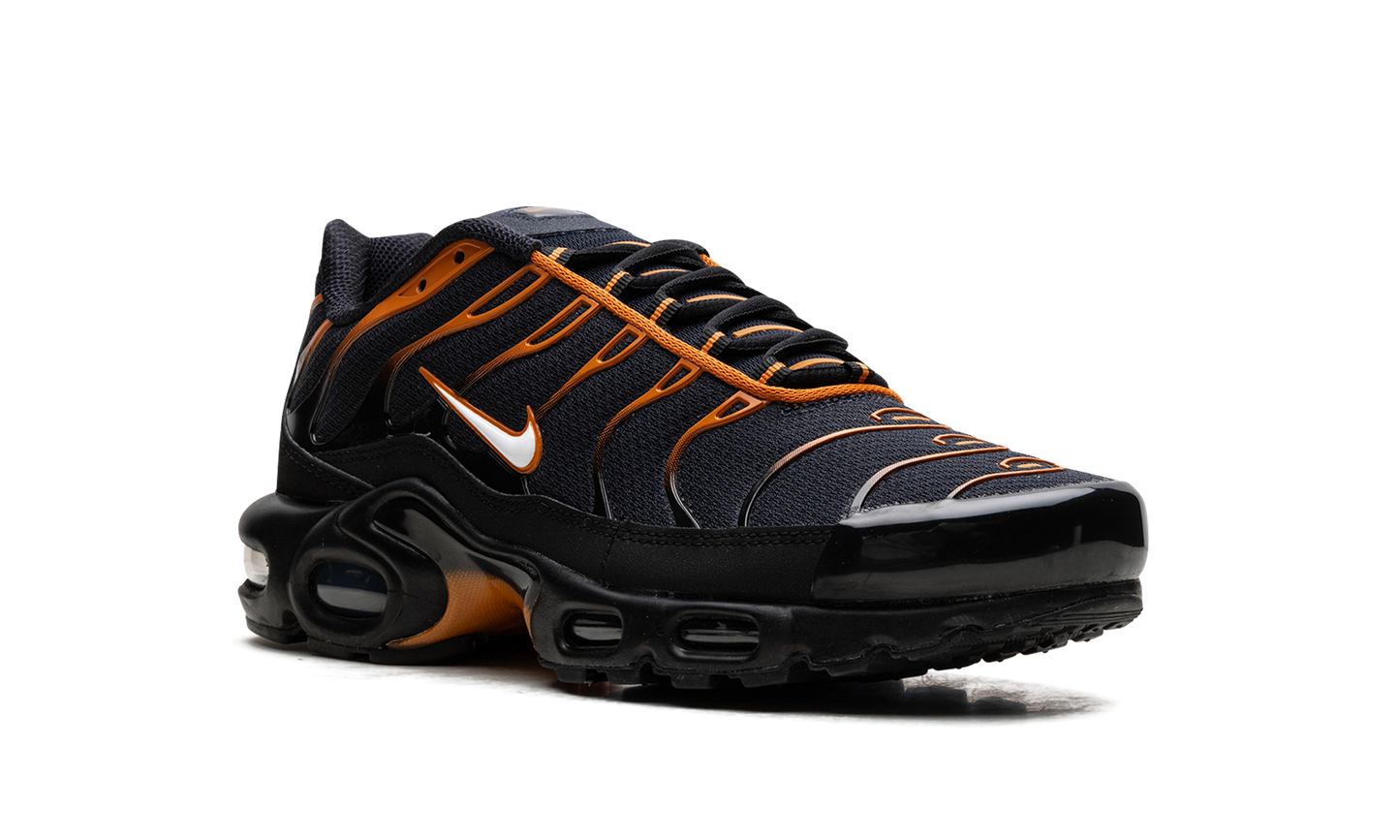 Air Max Plus "OBSIDIAN MONARCH" FN6949 400