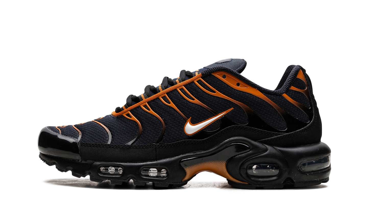 Air Max Plus "OBSIDIAN MONARCH" FN6949 400