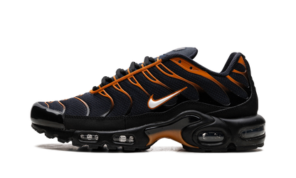 Air Max Plus "OBSIDIAN MONARCH" FN6949 400