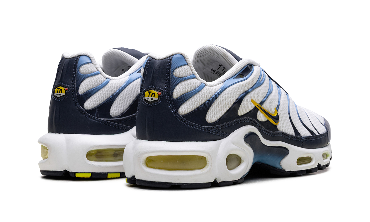 Air Max Plus CT1094 100