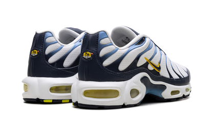 Air Max Plus CT1094 100