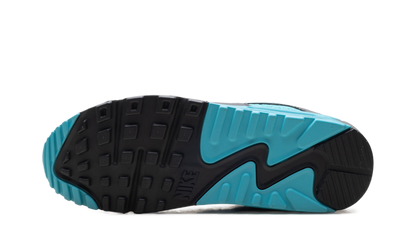 Air Max 90 "Dusty Cactus" DM0029 013