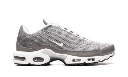 Air Max Plus SE "Flat Pewter" DV7665 002