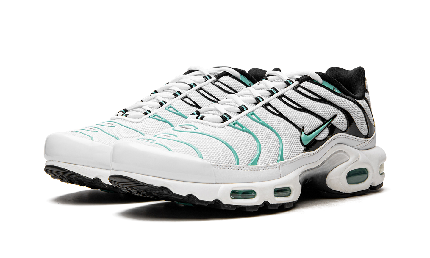Air Max Plus "Atmos" 604133 148