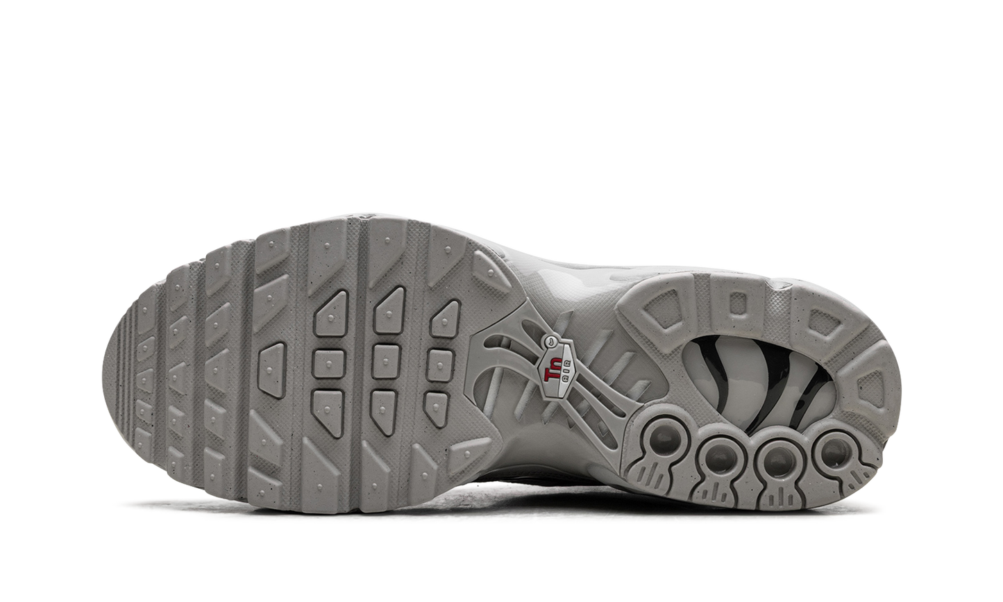 Air Max Plus HF GS "Light Iron" FZ0977 001