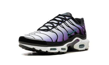 Air Max Plus "Reverse Grape" FQ2415 500