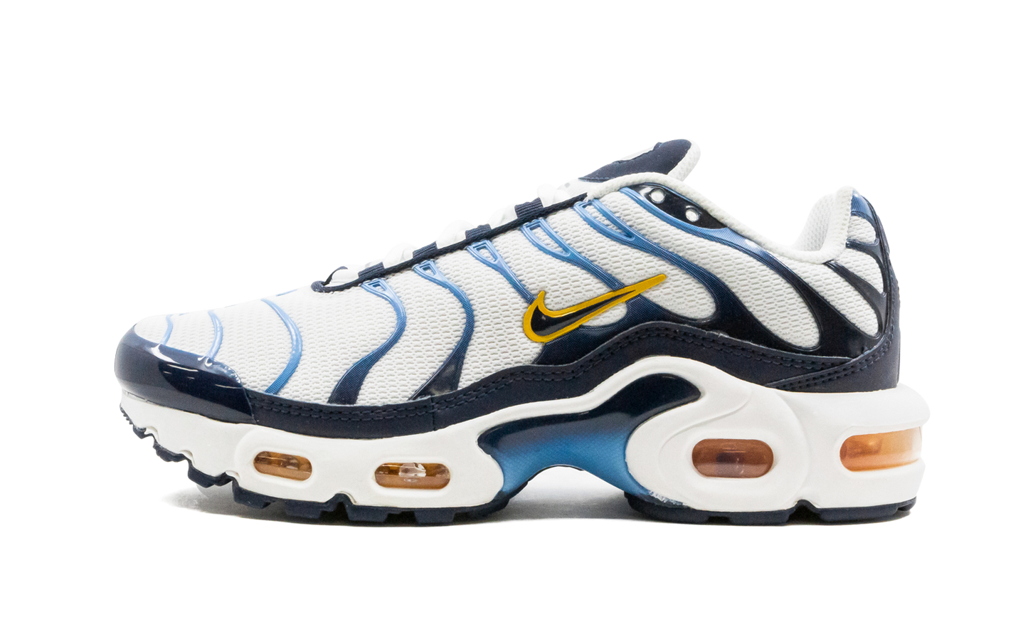 Air Max Plus CD0609 100