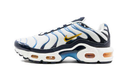 Air Max Plus CD0609 100
