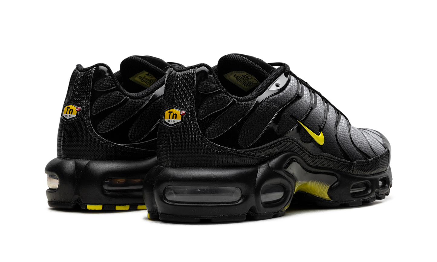 Air Max Plus "Wolf Grey Opti Yellow" DM0032 012