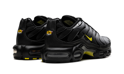 Air Max Plus "Wolf Grey Opti Yellow" DM0032 012