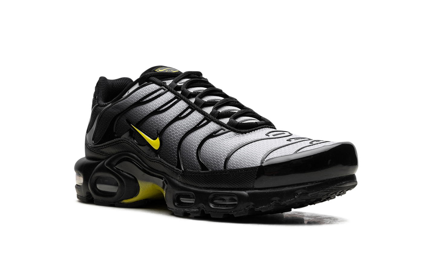 Air Max Plus "Wolf Grey Opti Yellow" DM0032 012