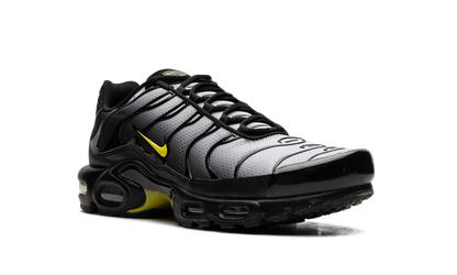 Air Max Plus "Wolf Grey Opti Yellow" DM0032 012