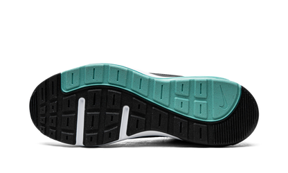 Air Max AP CU4826 102