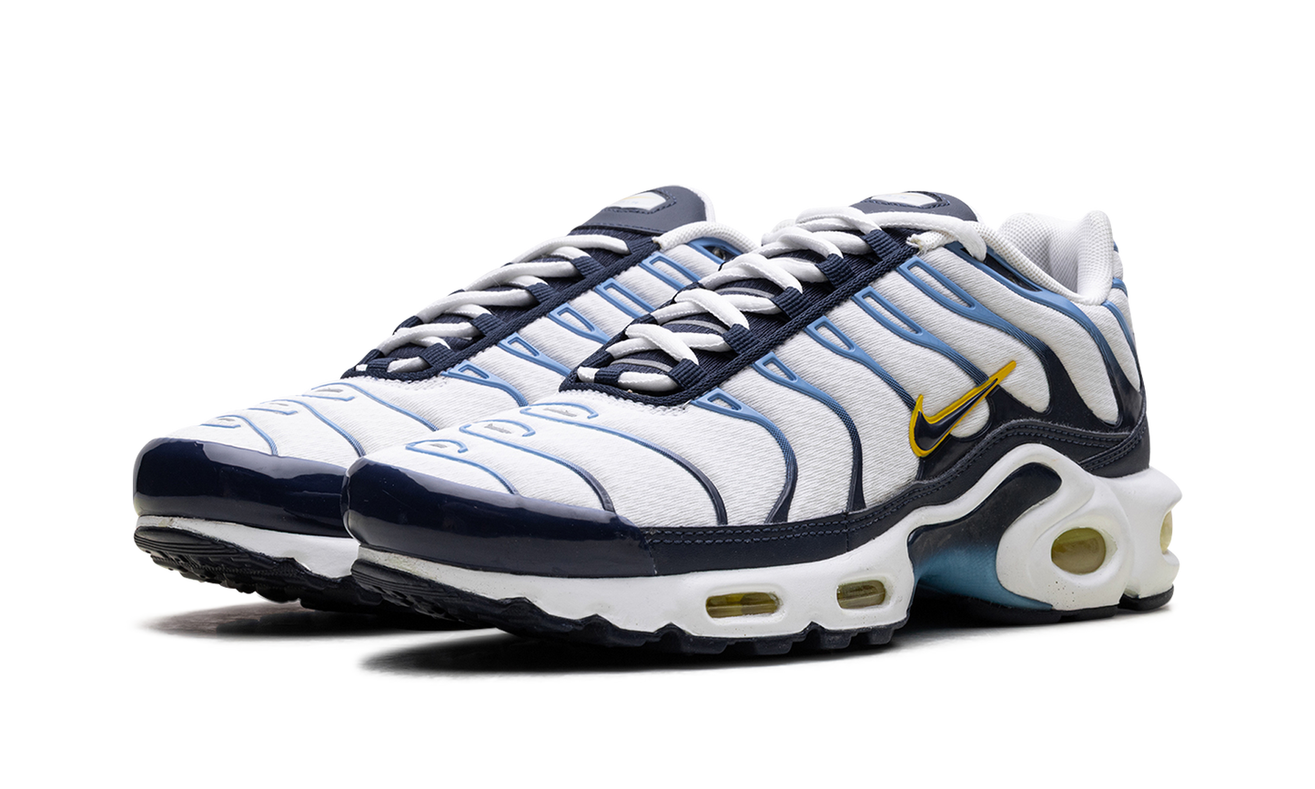 Air Max Plus CT1094 100