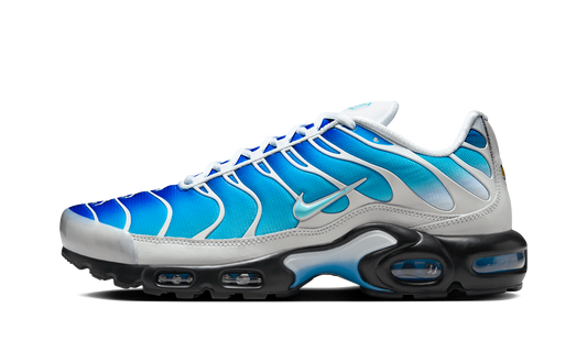Air Max Plus "One Block Down - Light Photo Blue EU Exclusive" FZ3308 400
