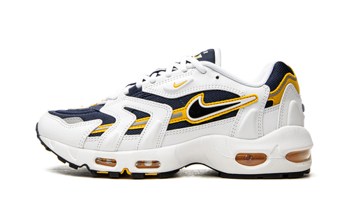 Air Max 96 2 "Goldenrod" CZ1921 100
