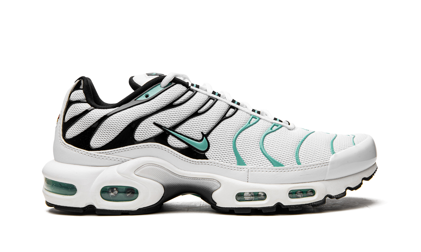 Air Max Plus "Atmos" 604133 148