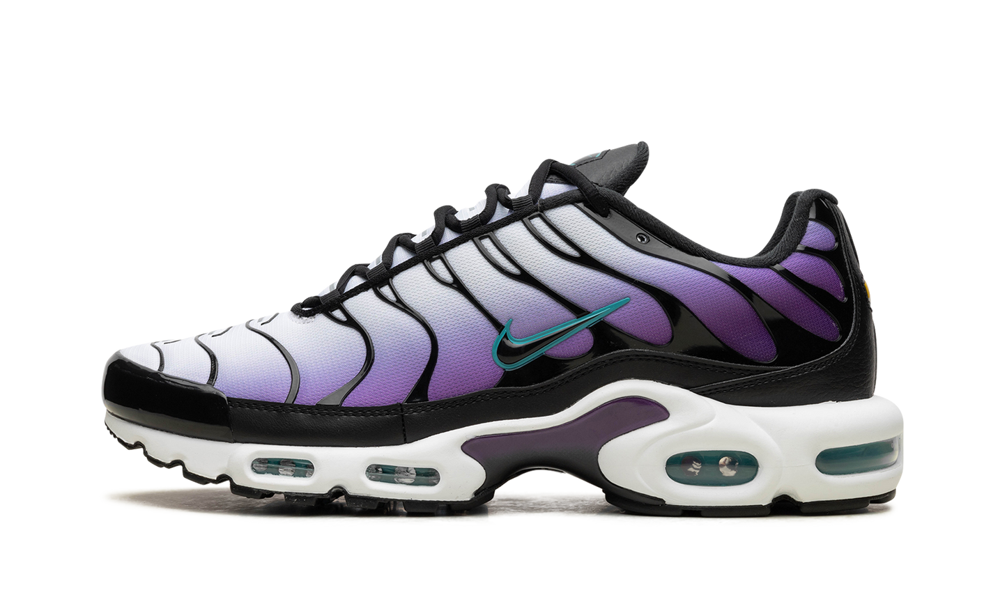 Air Max Plus "Reverse Grape" FQ2415 500