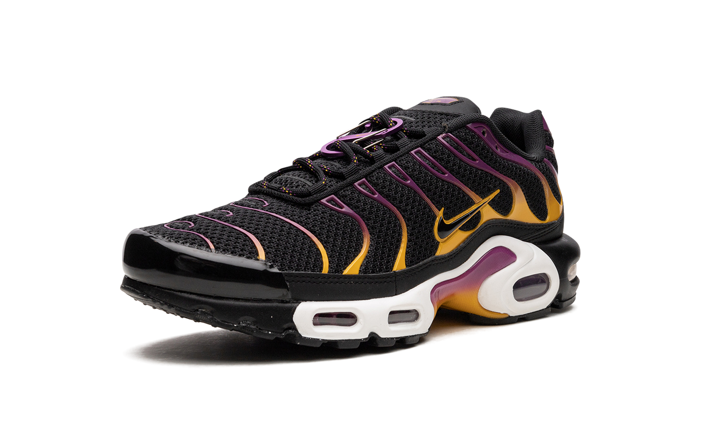 Air Max Plus DX2663 001