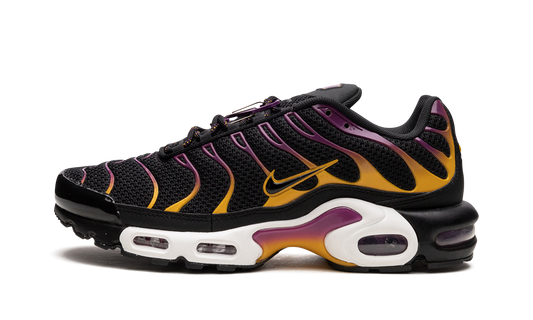 Air Max Plus DX2663 001