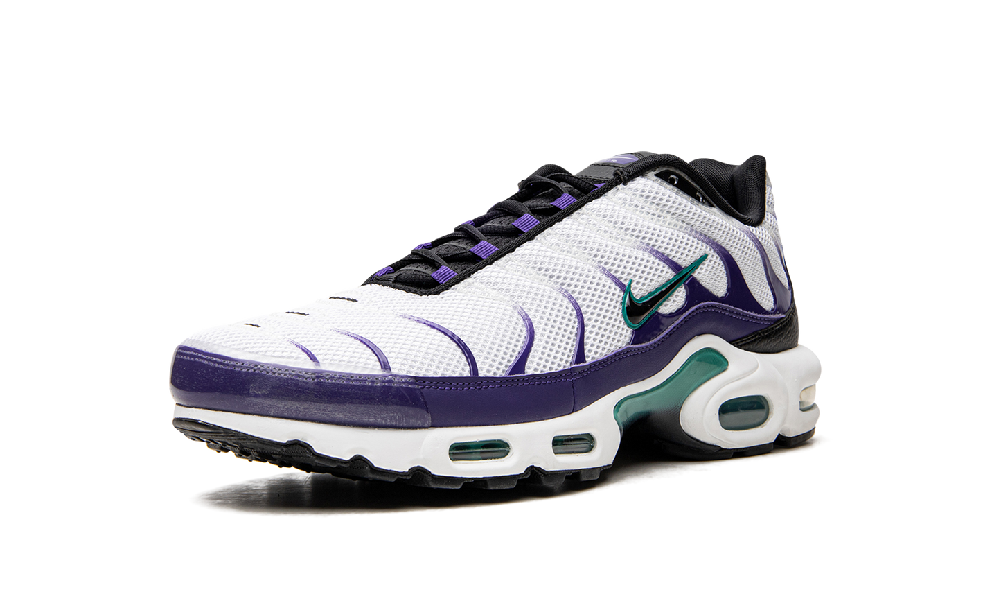 Air Max Plus "Grape" DM0032 100