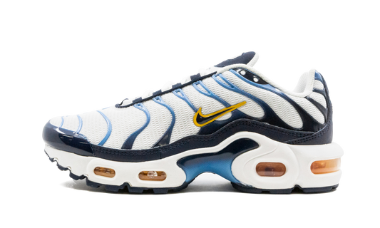 Air Max Plus CD0609 100