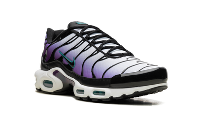 Air Max Plus "Reverse Grape" FQ2415 500