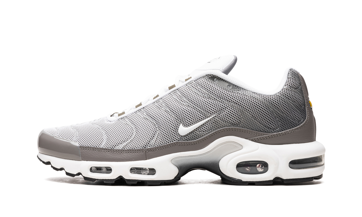 Air Max Plus SE "Flat Pewter" DV7665 002