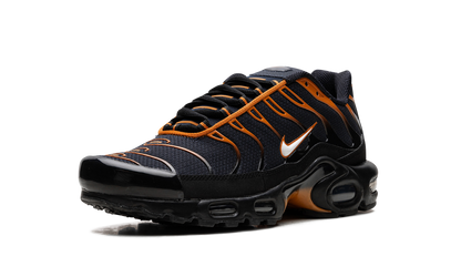 Air Max Plus "OBSIDIAN MONARCH" FN6949 400
