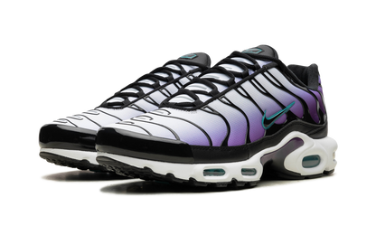 Air Max Plus "Reverse Grape" FQ2415 500