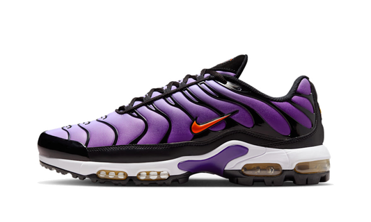 Air Max Plus GS "Reverse Grape" FQ2412 500