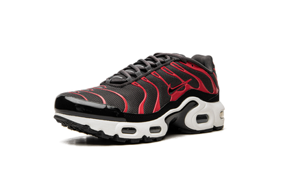 Air Max Plus GS CD0609 200