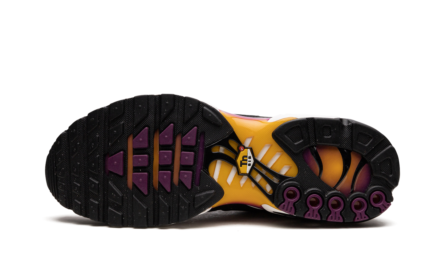 Air Max Plus DX2663 001