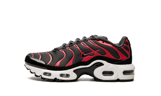 Air Max Plus GS CD0609 200