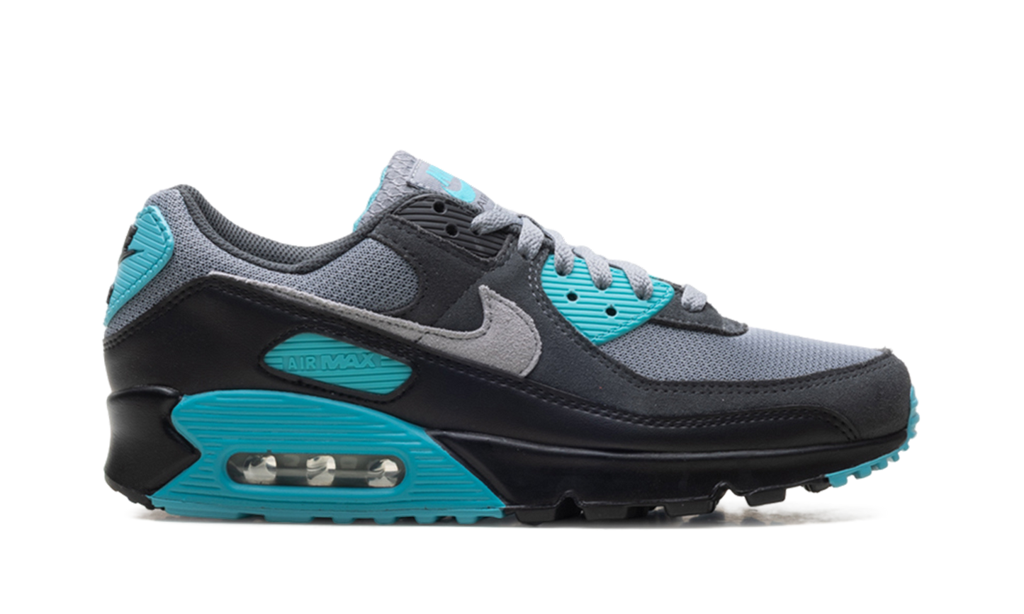 Air Max 90 "Dusty Cactus" DM0029 013