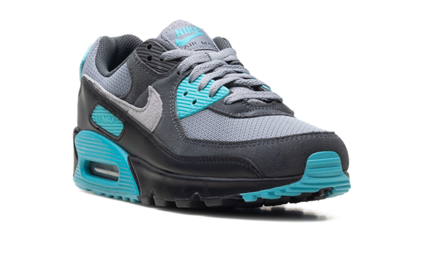 Air Max 90 "Dusty Cactus" DM0029 013
