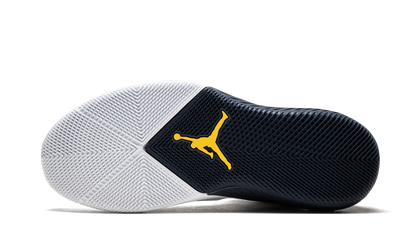 Why Not Zer0.1 "Michigan PE" 819513 PC