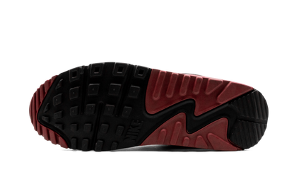 Air Max 90 "Recraft New Maroon" CT4352 104