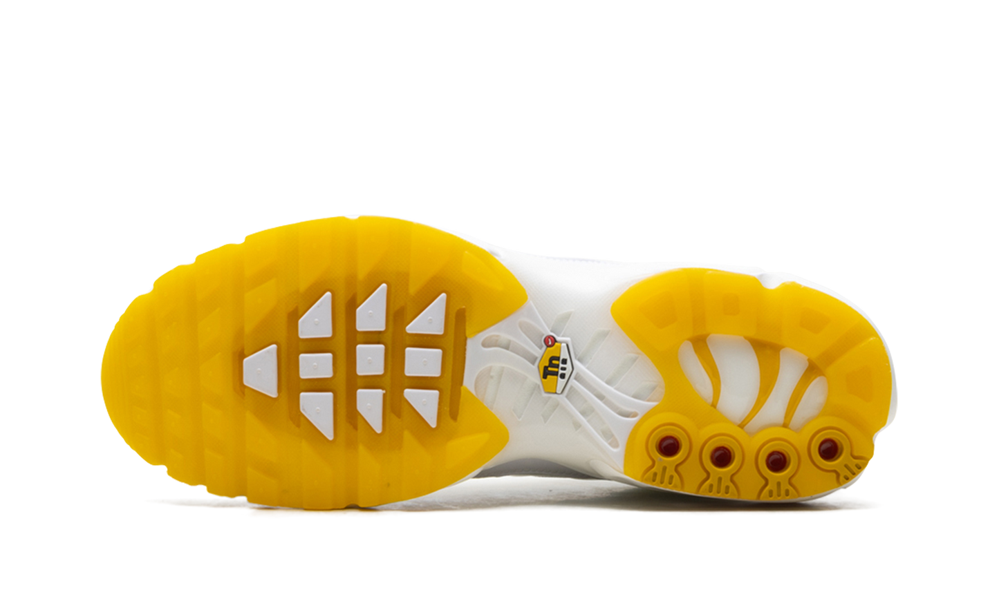 Air Max Plus "Marion Frank Rudy" DQ8960 100